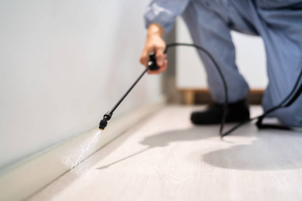 Licensed Pest Control service in Escanaba, MI - Show Me Pest Control