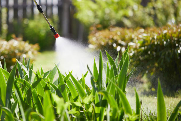 24/7 Emergency Ant Control experts in Escanaba, MI